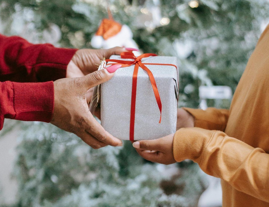 Affordable Christmas Trees for a Healthier Holiday 